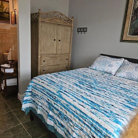 Cape Paradise B & B - Your Luxury Tropical Retreat 珊瑚角 外观 照片