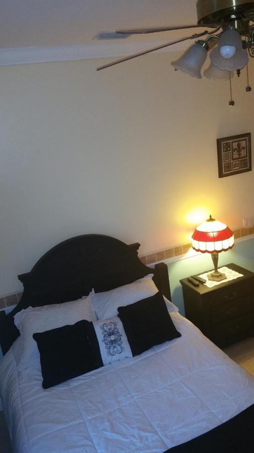 Cape Paradise B & B - Your Luxury Tropical Retreat 珊瑚角 外观 照片