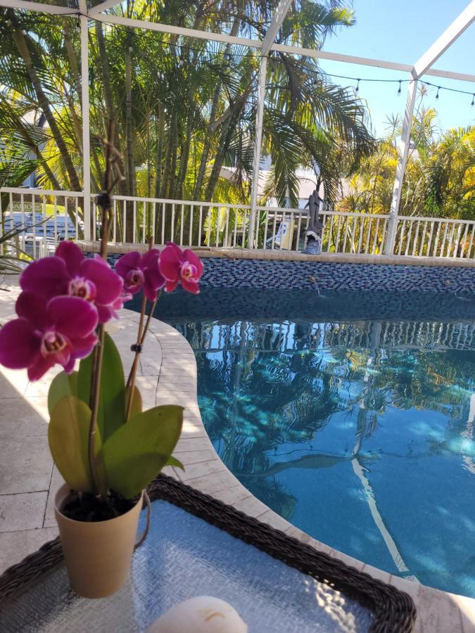 Cape Paradise B & B - Your Luxury Tropical Retreat 珊瑚角 外观 照片