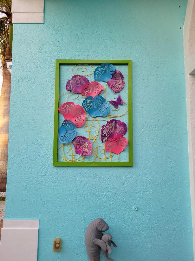 Cape Paradise B & B - Your Luxury Tropical Retreat 珊瑚角 外观 照片