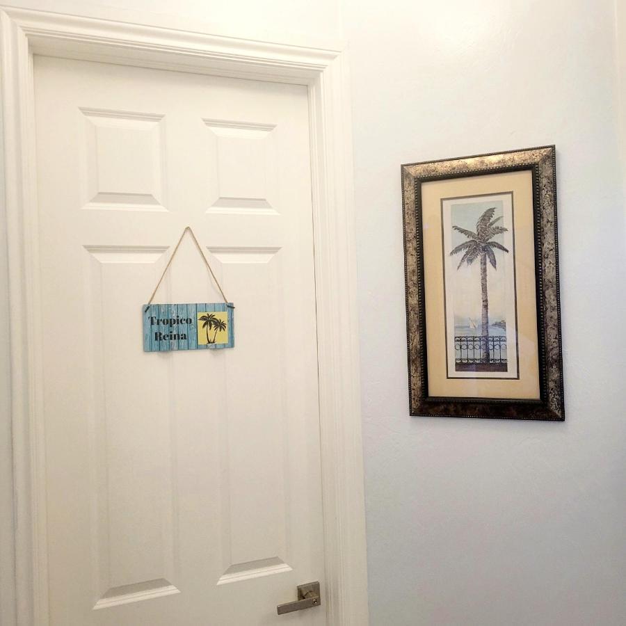Cape Paradise B & B - Your Luxury Tropical Retreat 珊瑚角 外观 照片